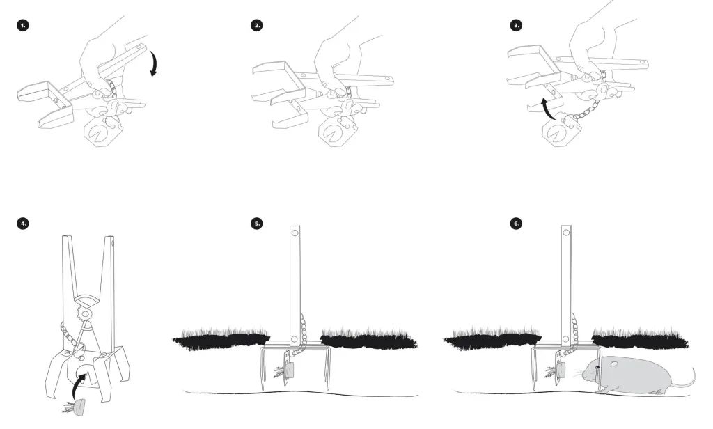Vole pincer trap set of 4