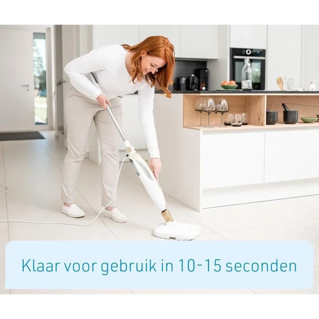 steam cleaner