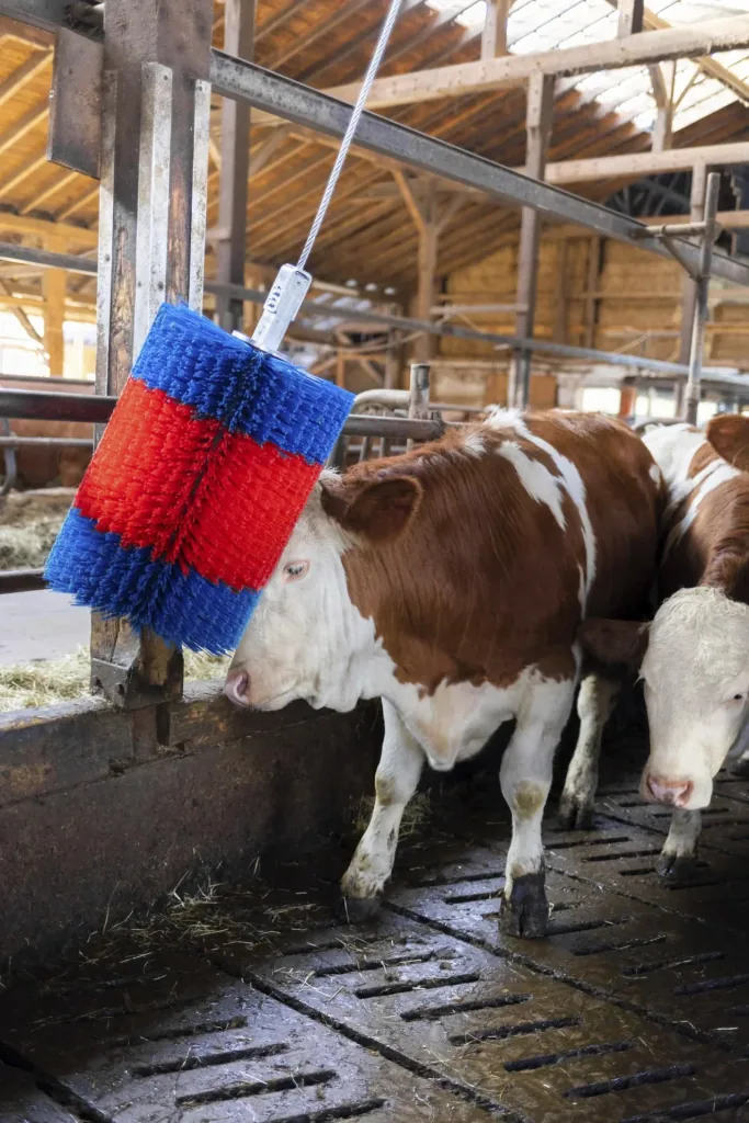 Cattle brush HAPPYCOW Free Midi without boom