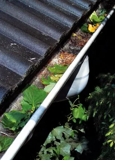 Pipe cleaning cutter "Gullywolf", clean drains without chemicals