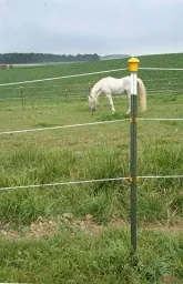 Metal post T-Post, 167 cm, 20 pieces
