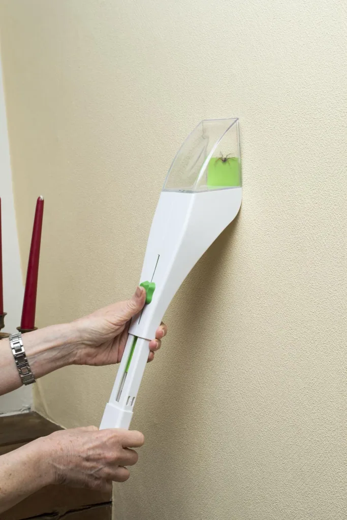 Insect live catcher with magnifying glass