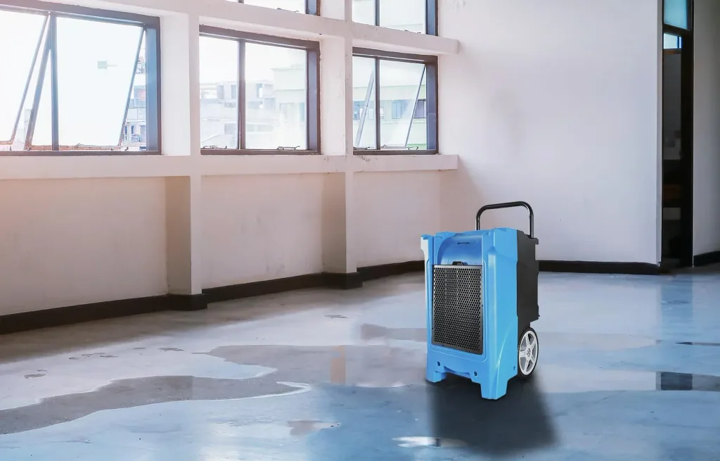 Dehumidifier - Secco Forte 900 with dust filter