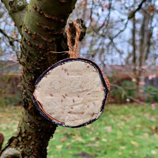 Karma 0.18kg dla dzikich ptaków w kokosie (1/2) - Pokarm zimowy