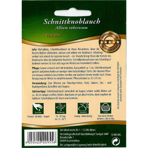 Szczypiorek Czosnkowy: Aromat i Smak w Twoim Ogrodzie