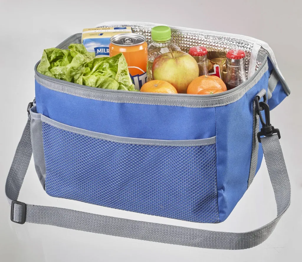 Tool cooler bag