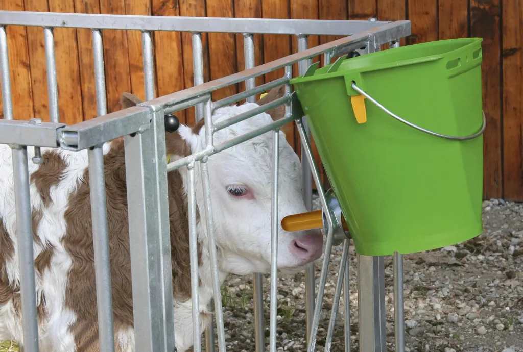 Hygiene drinking bucket with folding valve for calves
