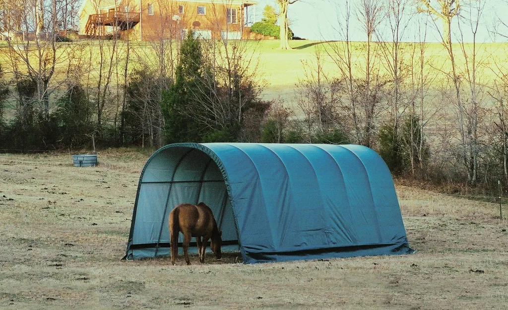 ShelterLogic Wiata pastwiskowa Run-In-Shed 29,2 m², zielony