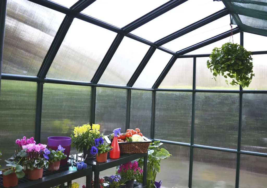 Plastic greenhouse Grand Gardener 44, 267 x 264 x 238 cm