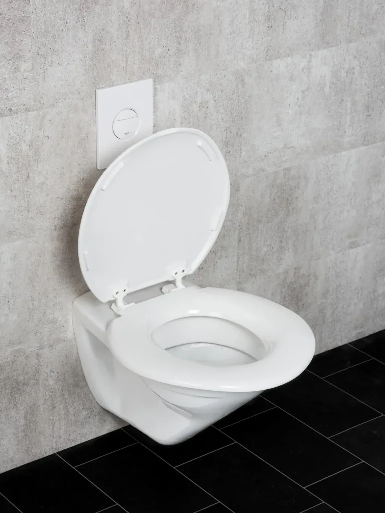 Toilet seat Torino XXL, made of shatter-proof Duroplast, load capacity up to 300 kg